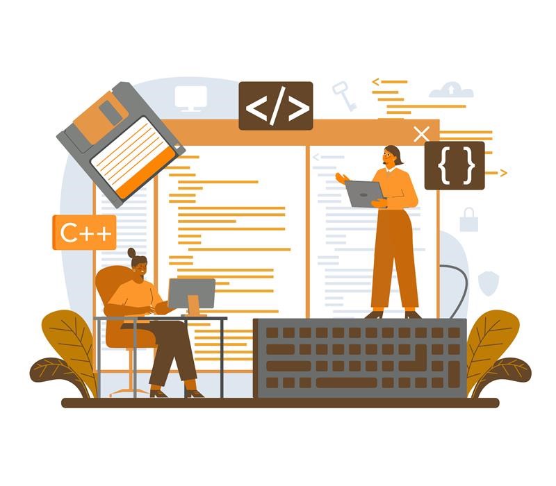 WordPress Development: Custom vs. Off-the-Shelf Solutions